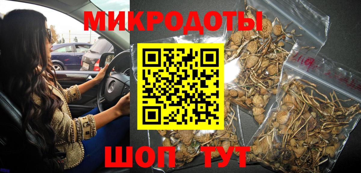 Анапа  Галлюциногенные грибы Psilocybe  Вход с VPN 