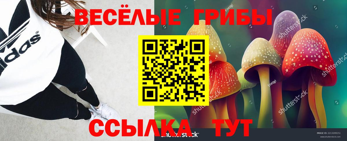 Галлюциногенные грибы мицелий Анапа